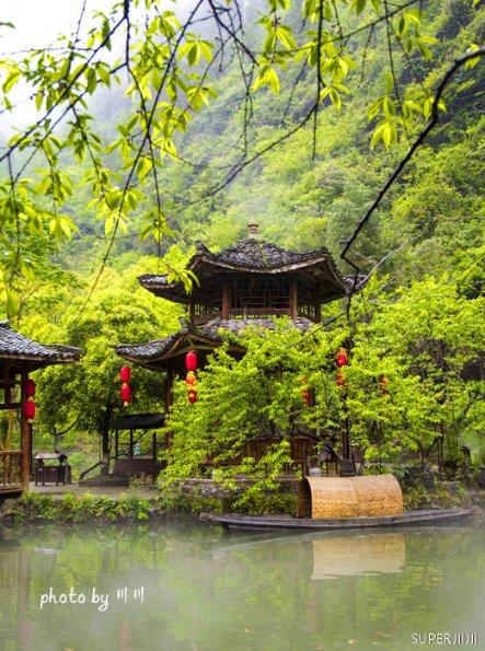 这是蒲公英吗？游戏画面
